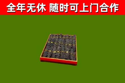 营口市回收海参